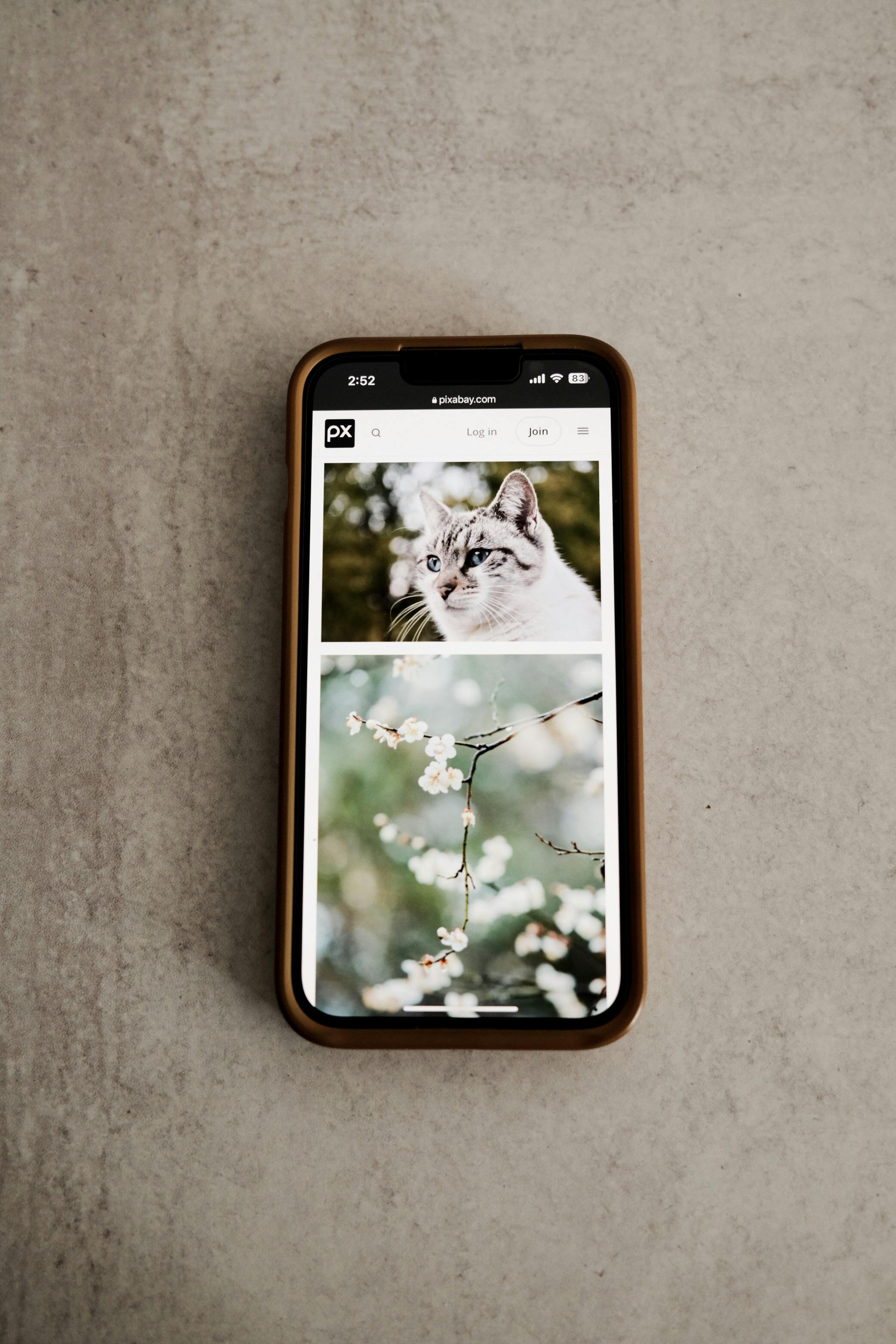 Welcome popup image